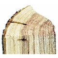 Fondo 5 lbs Almond Smoking Wood FO2668612